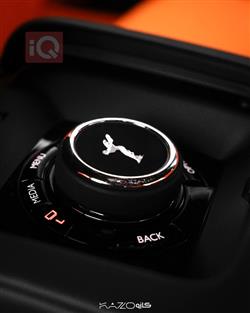 ڕۆڵس ڕۆیس گۆست